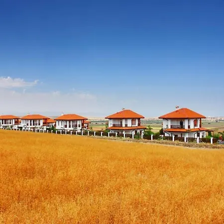 Generaator House Луксозна вила Ахелой